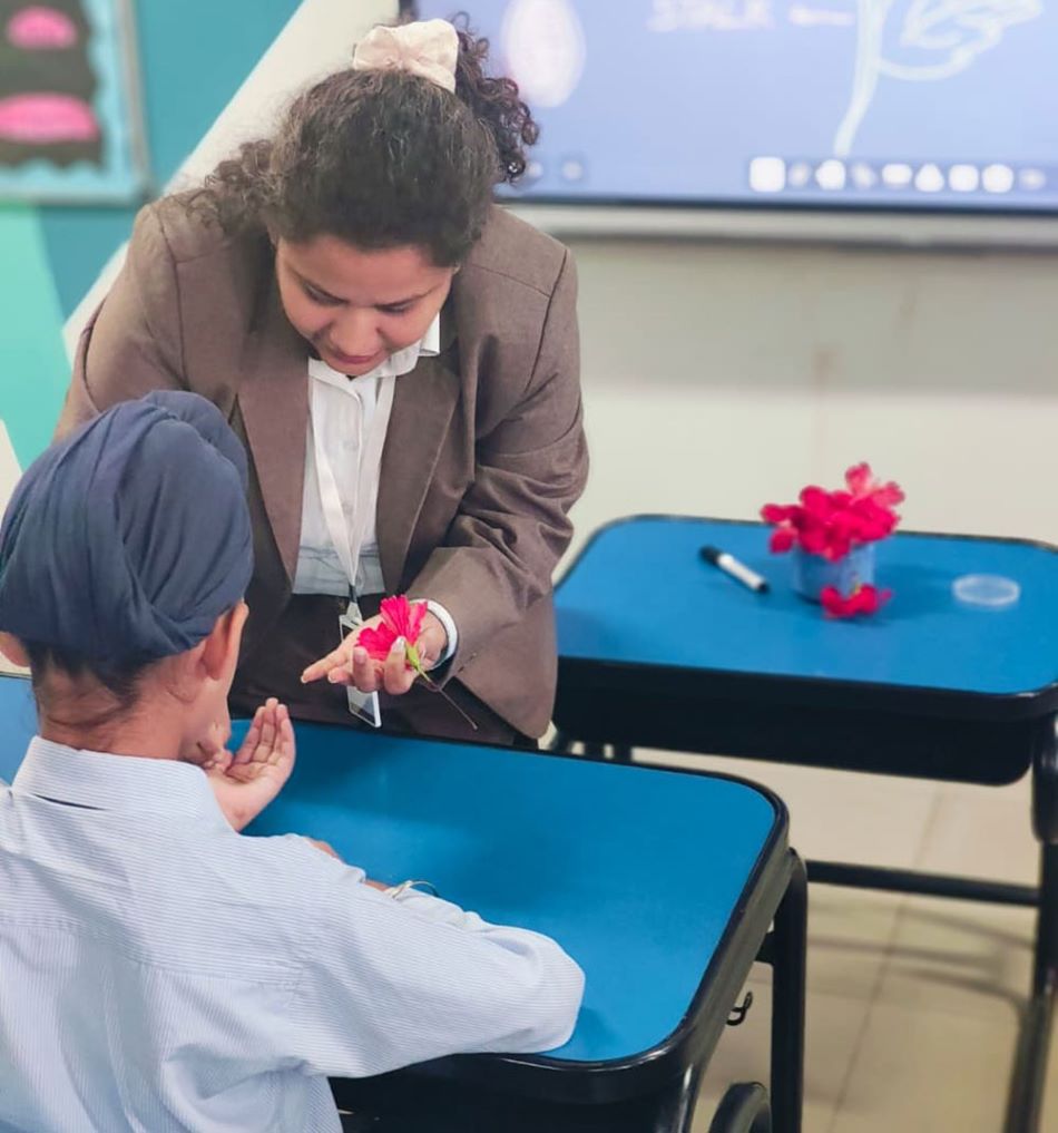 Flower dissection science activity