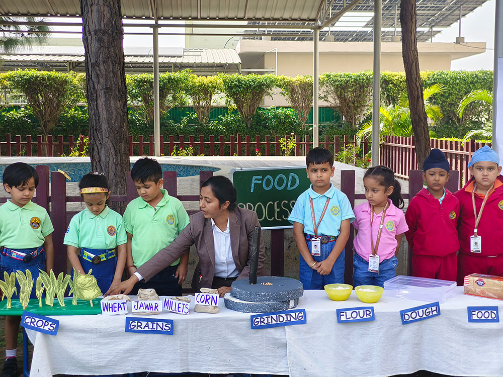 Journey of food learning activity