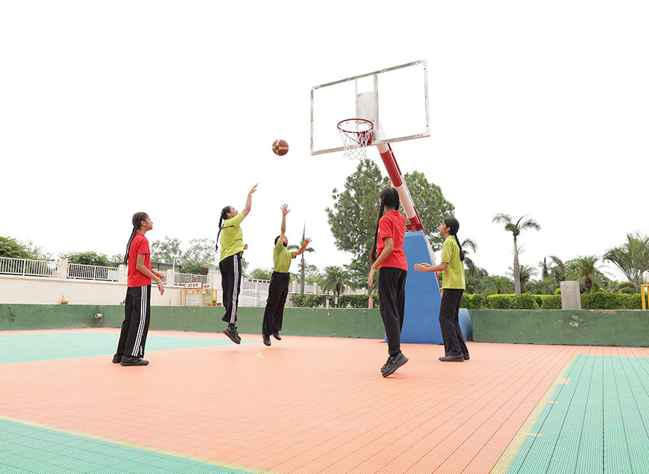 Basketball Court 
