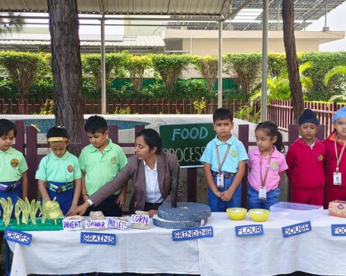 Journey of food learning activity