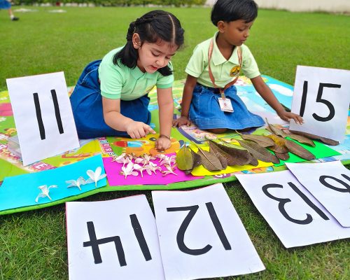 Nature and math integration activity